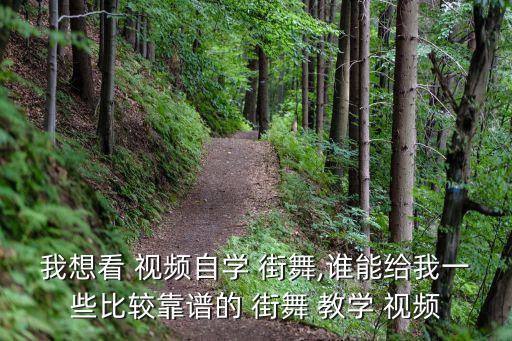 我想看 视频自学 街舞,谁能给我一些比较靠谱的 街舞 教学 视频