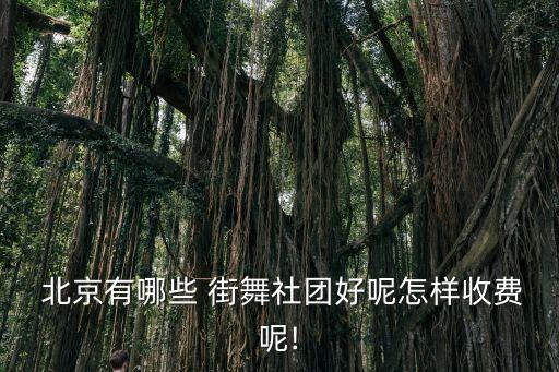  北京有哪些 街舞社团好呢怎样收费呢!
