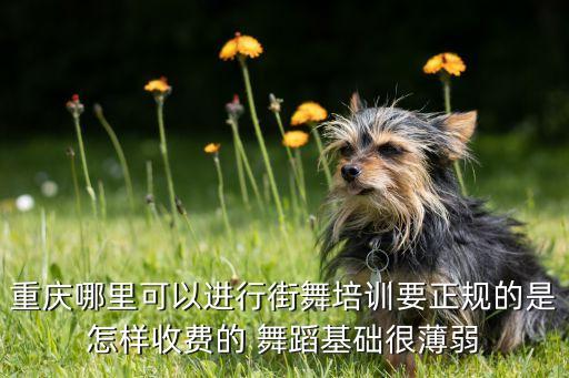 重庆哪里可以进行街舞培训要正规的是怎样收费的 舞蹈基础很薄弱