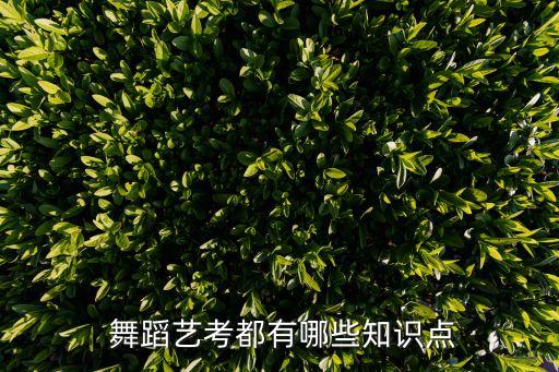  舞蹈艺考都有哪些知识点