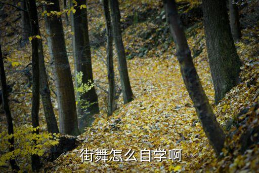 女生街舞 简单易学教程,龙的传人街舞简单易学分解教程