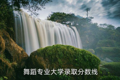  舞蹈专业大学录取分数线