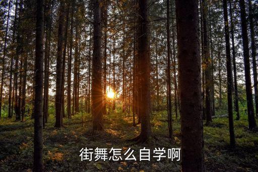 儿童街舞的教程