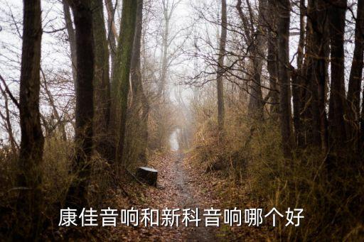 康佳音响和新科音响哪个好