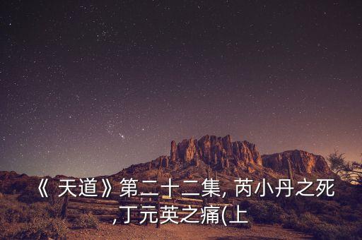 《 天道》第二十二集, 芮小丹之死,丁元英之痛(上