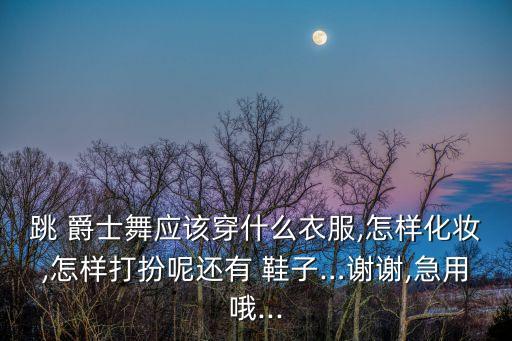 跳 爵士舞应该穿什么衣服,怎样化妆,怎样打扮呢还有 鞋子…谢谢,急用哦...