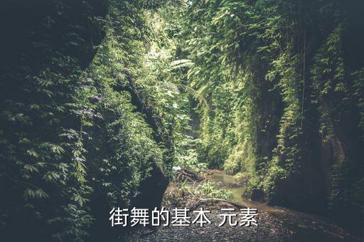  街舞的基本 元素