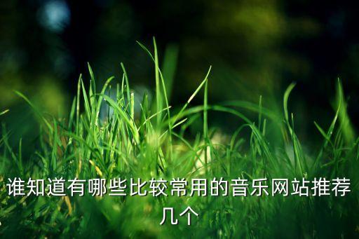 谁知道有哪些比较常用的音乐网站推荐几个