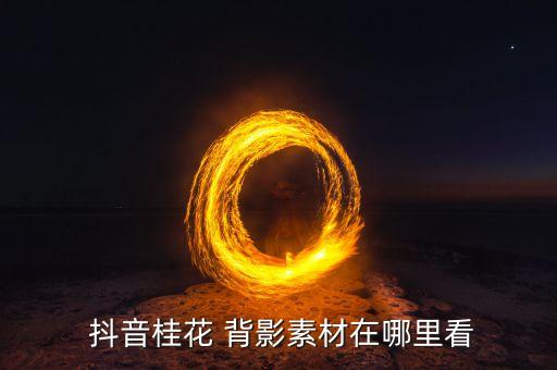  抖音桂花 背影素材在哪里看