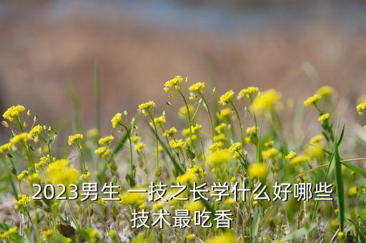 2023男生 一技之长学什么好哪些技术最吃香