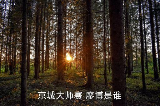 京城大师赛 廖博是谁