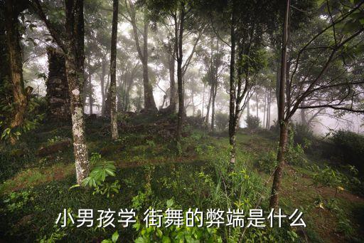 小男孩学 街舞的弊端是什么