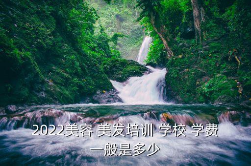2022美容 美发培训 学校 学费一般是多少