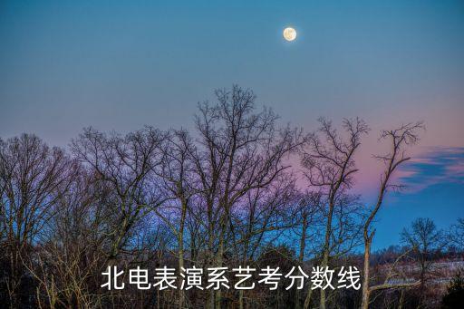 北电表演系艺考分数线