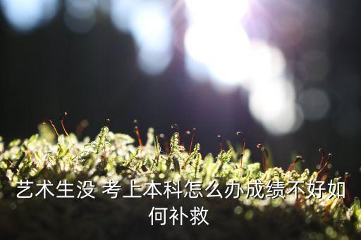 艺术生没 考上本科怎么办成绩不好如何补救