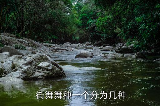  街舞舞种一个分为几种