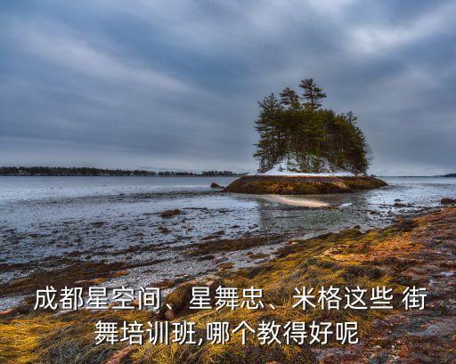  成都星空间、星舞忠、米格这些 街舞培训班,哪个教得好呢