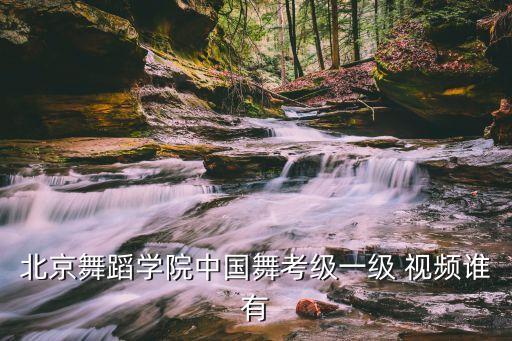 北京舞蹈学院中国舞考级一级 视频谁有