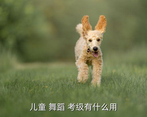 儿童 舞蹈 考级有什么用