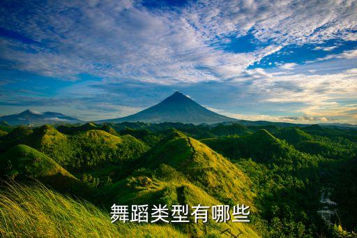 舞蹈都有些什么舞种,舞蹈有多少个舞种