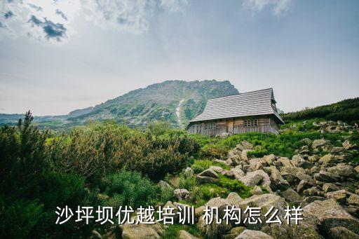 沙坪坝优越培训 机构怎么样