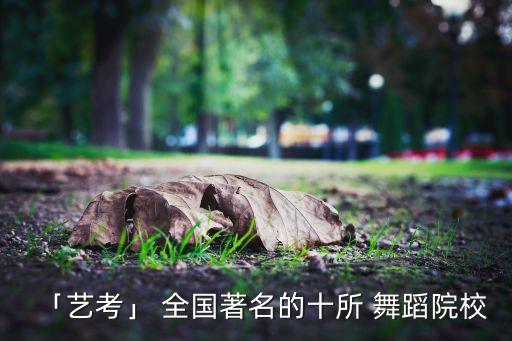 「艺考」 全国著名的十所 舞蹈院校