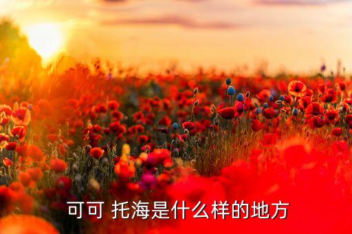  可可 托海是什么样的地方