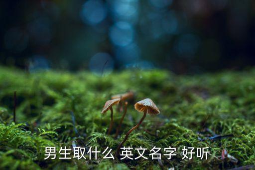 男生取什么 英文名字 好听