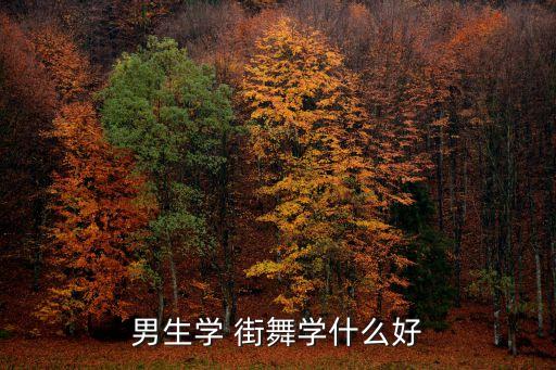 男生学 街舞学什么好