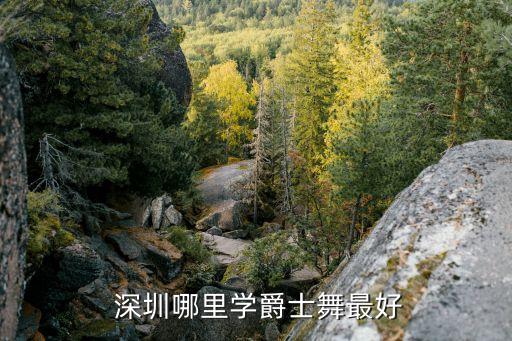 深圳舞蹈培训学校,深圳正规舞蹈培训学校