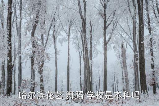 哈尔滨花艺 舞蹈 学校是本科吗