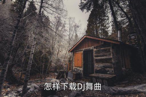 怎样下载DJ舞曲