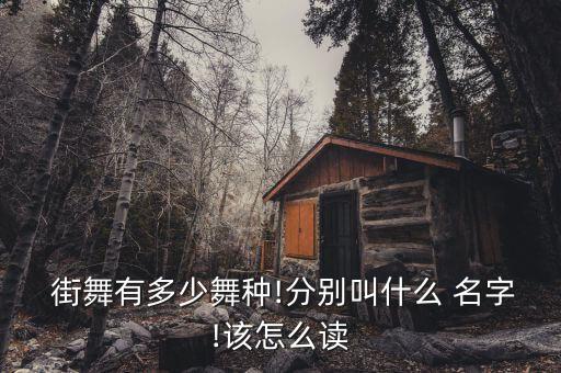  街舞有多少舞种!分别叫什么 名字!该怎么读