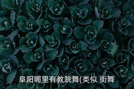 阜阳哪里有教跳舞(类似 街舞