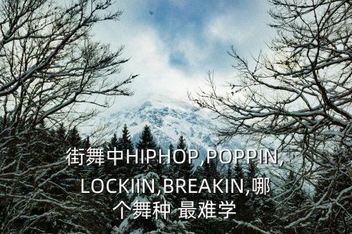 街舞中HIPHOP,POPPIN,LOCKIIN,BREAKIN,哪个舞种 最难学