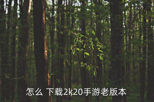 nba2k20免费下载安卓版,2k22手游下载安卓版