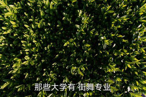 高考艺考街舞有哪些学校