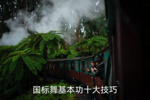 国标舞基本功十大技巧