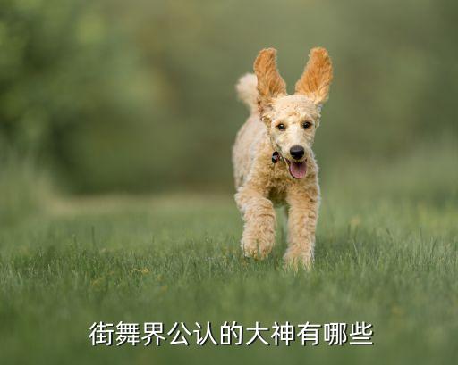 世界级街舞排名