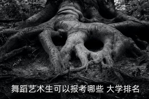 招舞蹈专业的大学,哪些大学招舞蹈艺术特长生