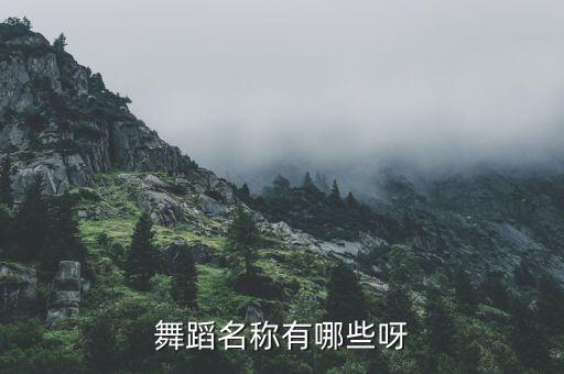 舞蹈名称有哪些呀