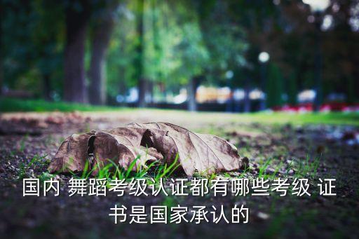 中国十大含金量证书舞蹈教师,文旅部舞蹈考级证书含金量高吗