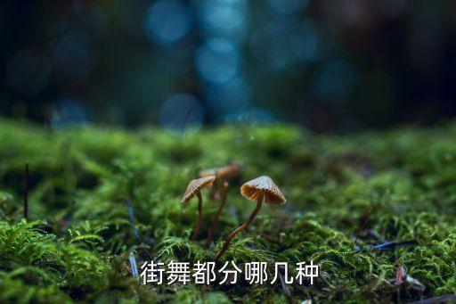  街舞都分哪几种