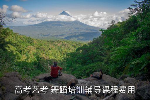 高考艺考 舞蹈培训辅导课程费用