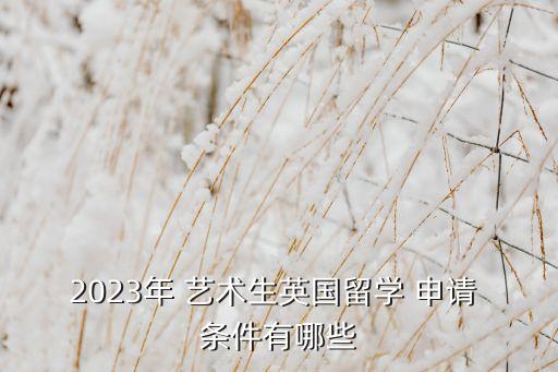 2023年 艺术生英国留学 申请 条件有哪些