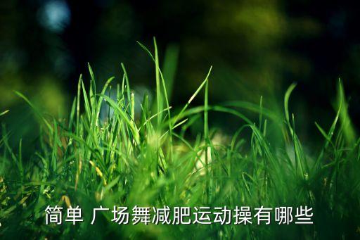 简单 广场舞减肥运动操有哪些