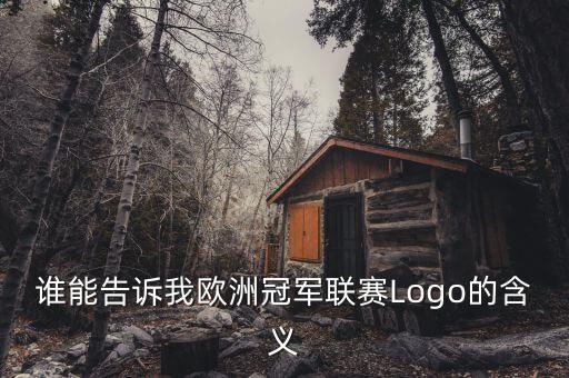 历届德甲LOGO