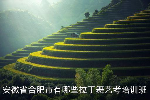 单色舞蹈学校在哪里,西安单色舞蹈学校正规吗