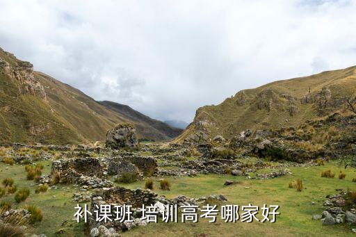 补课班 培训高考哪家好