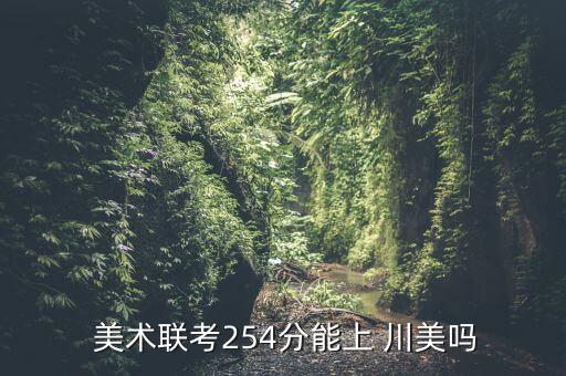  美术联考254分能上 川美吗